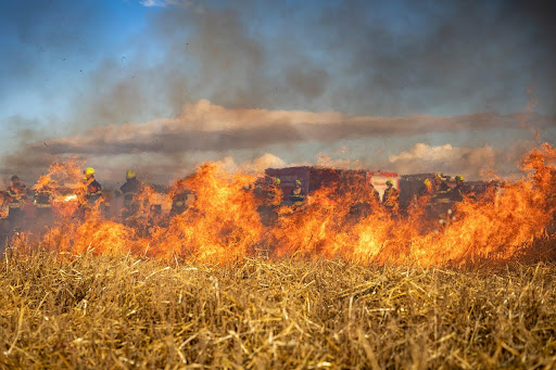 Wildfires Are Imminent in Contra Costa County. How Can We Prepare?